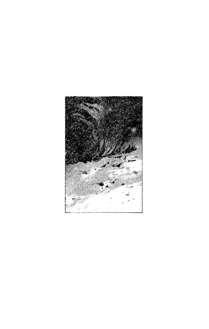 Read 7 Seeds Manga Online