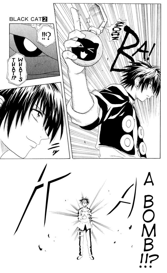 Read Black Cat Manga Online