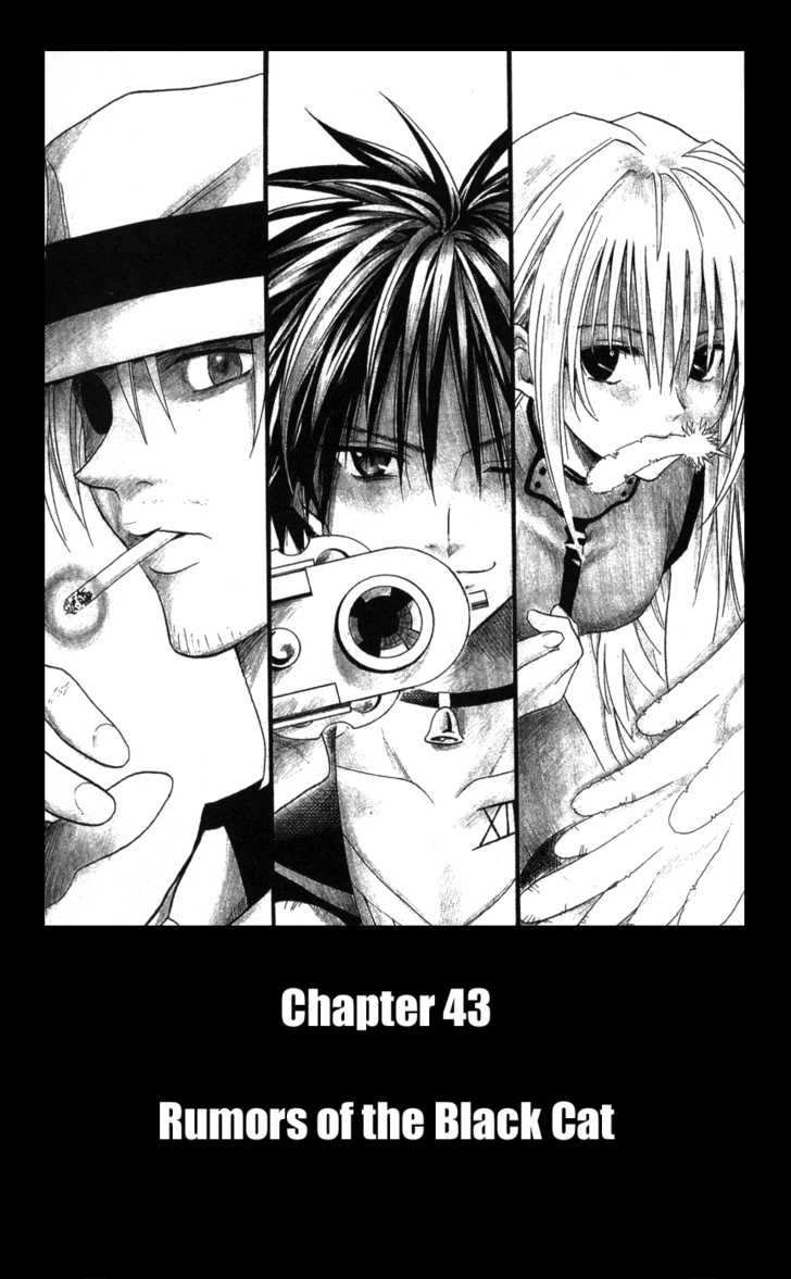 Read Black Cat Manga Online