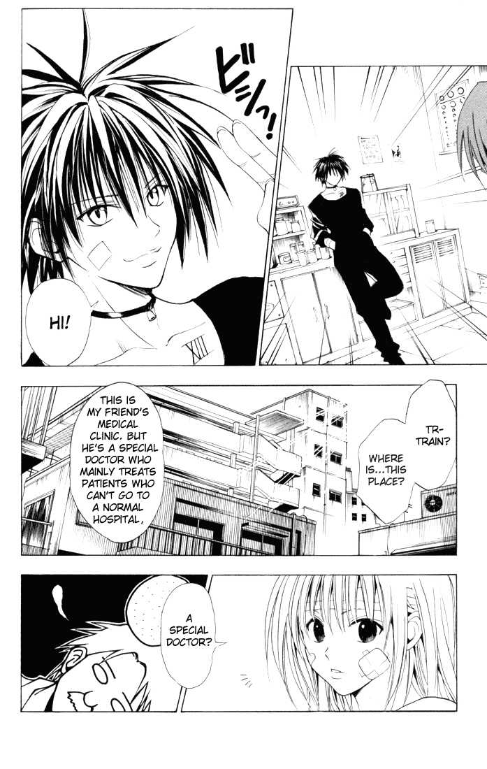 Read Black Cat Manga Online