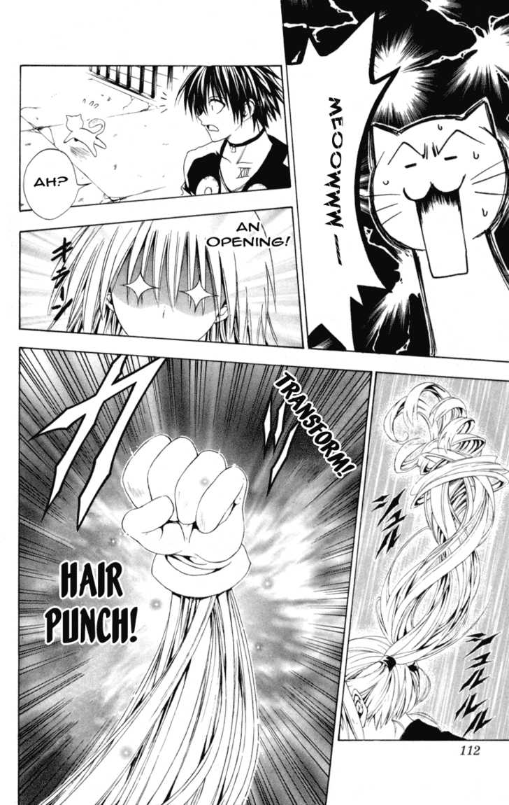 Read Black Cat Manga Online