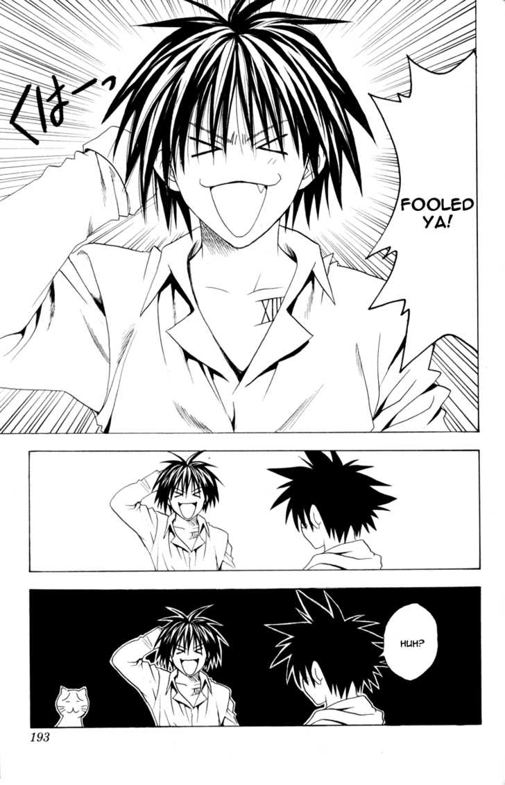 Read Black Cat Manga Online