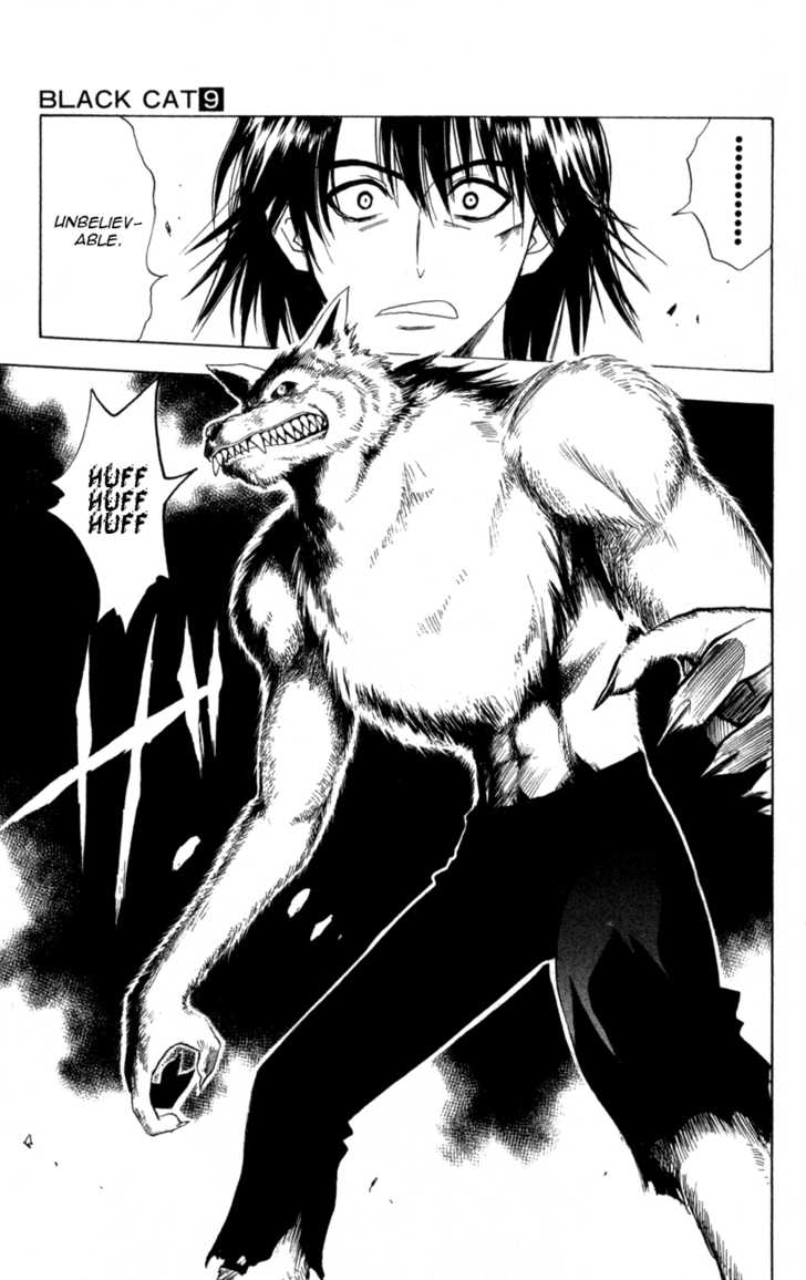 Read Black Cat Manga Online