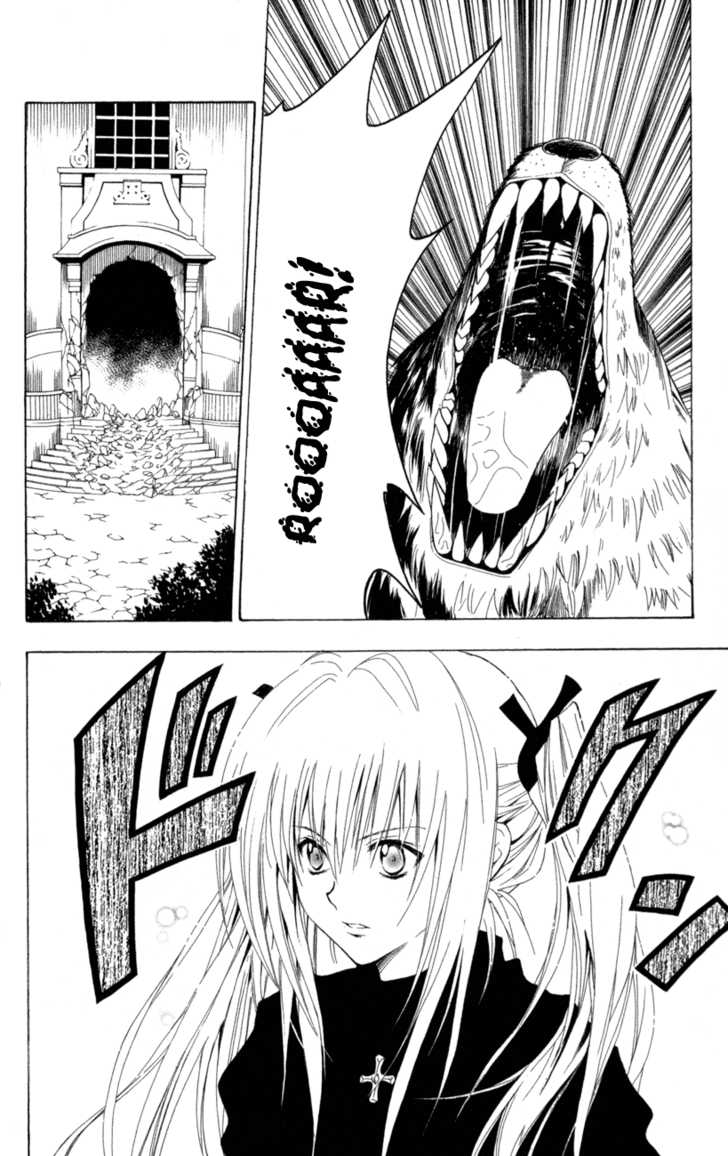 Read Black Cat Manga Online