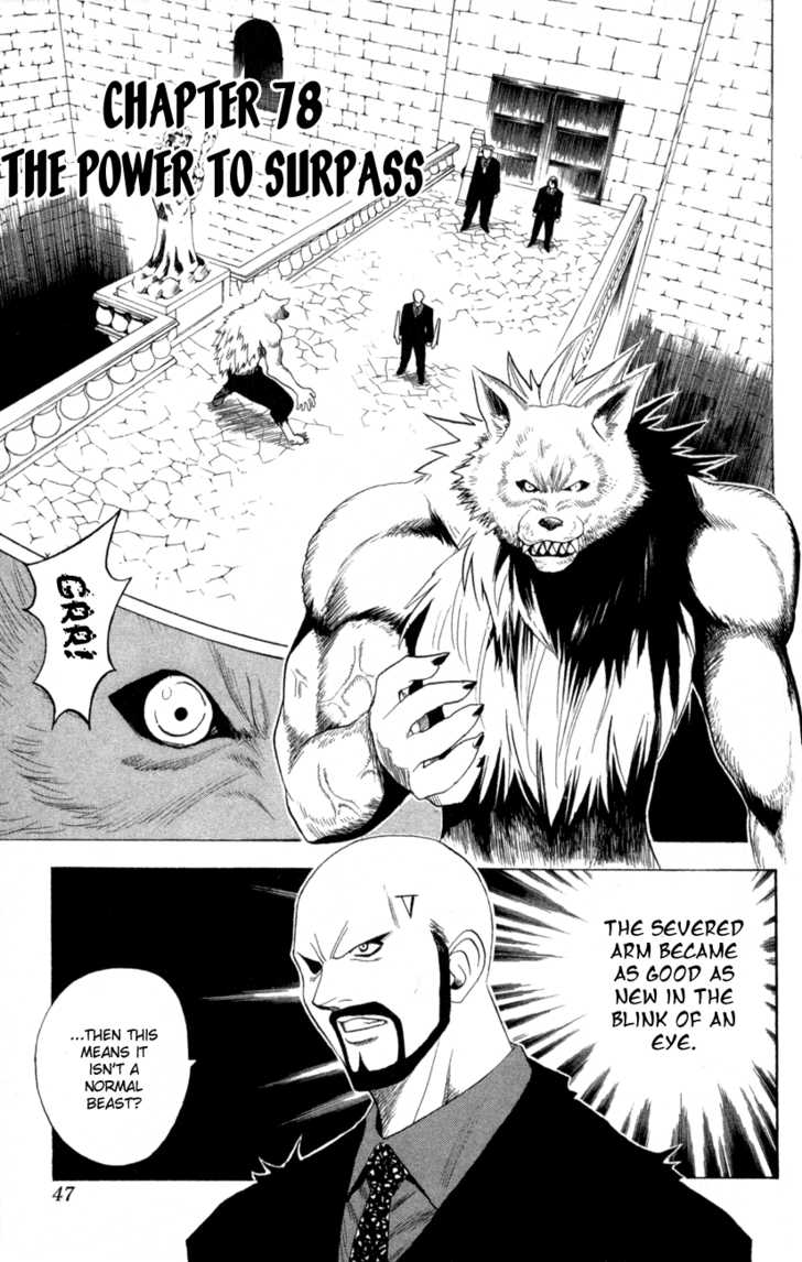 Read Black Cat Manga Online
