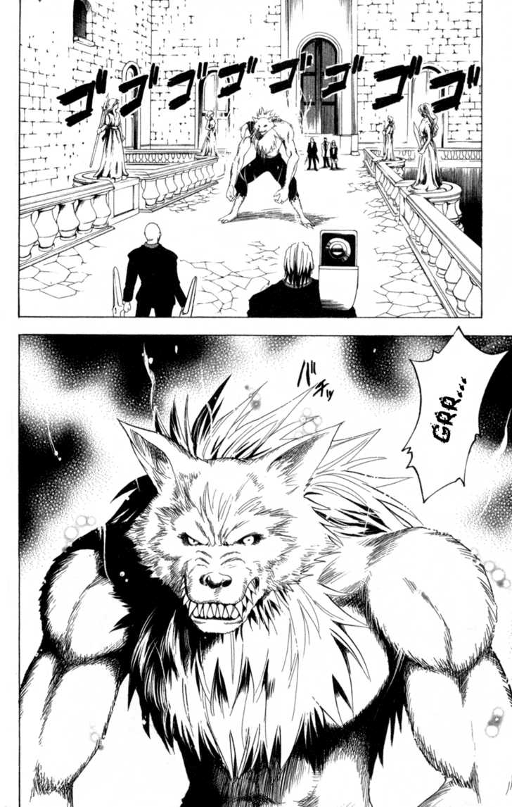 Read Black Cat Manga Online