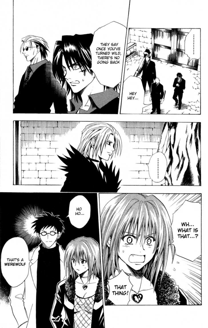 Read Black Cat Manga Online