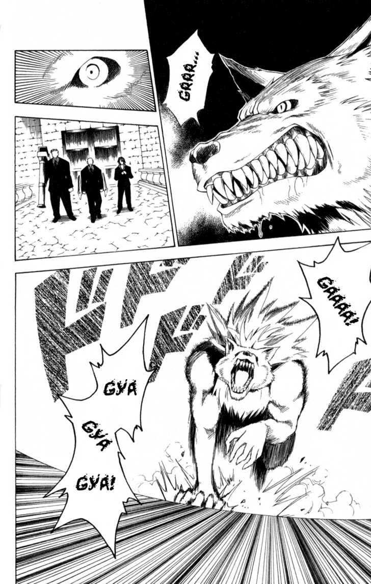 Read Black Cat Manga Online