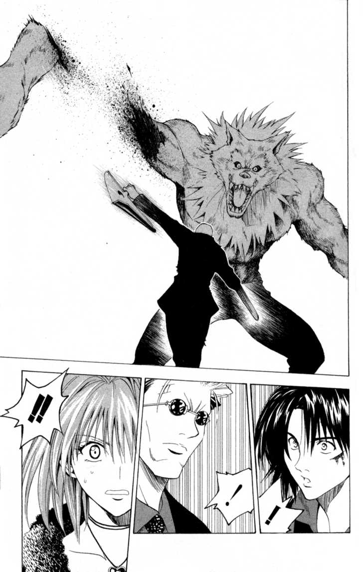 Read Black Cat Manga Online
