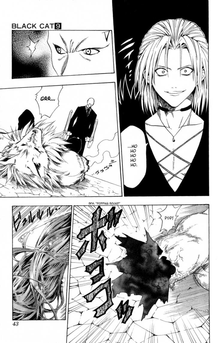 Read Black Cat Manga Online