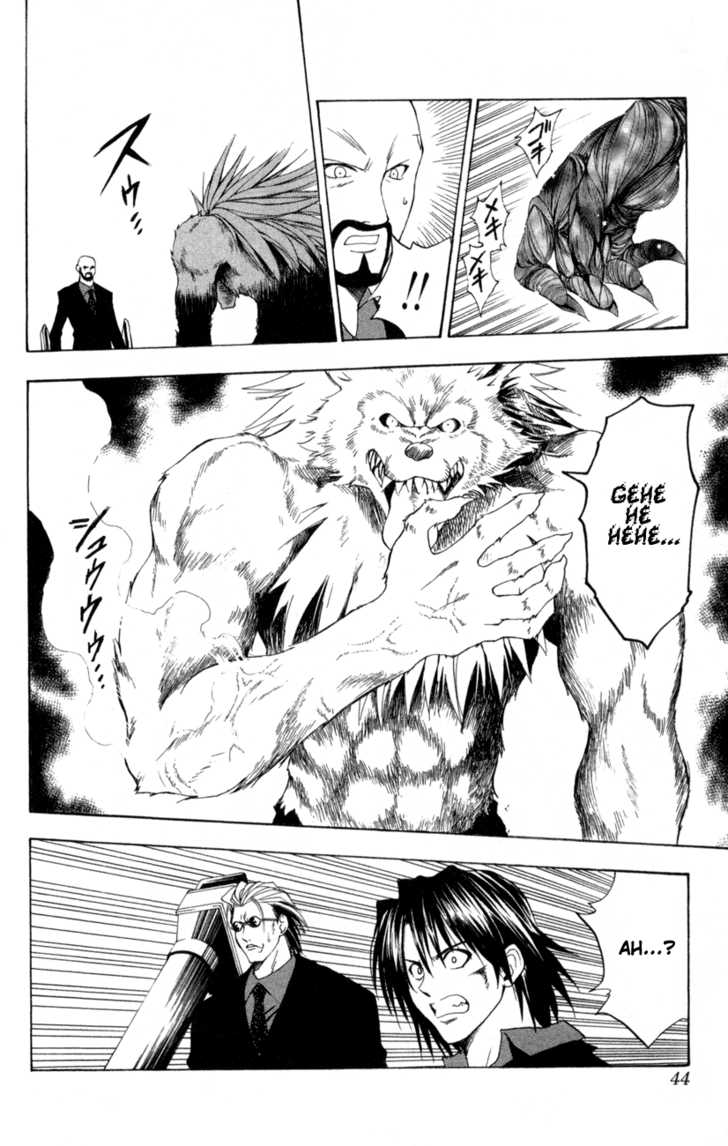 Read Black Cat Manga Online