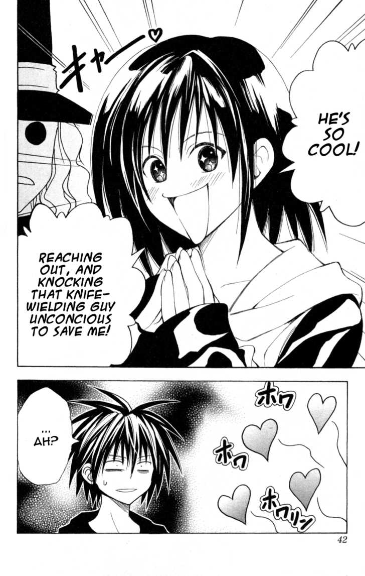 Read Black Cat Manga Online