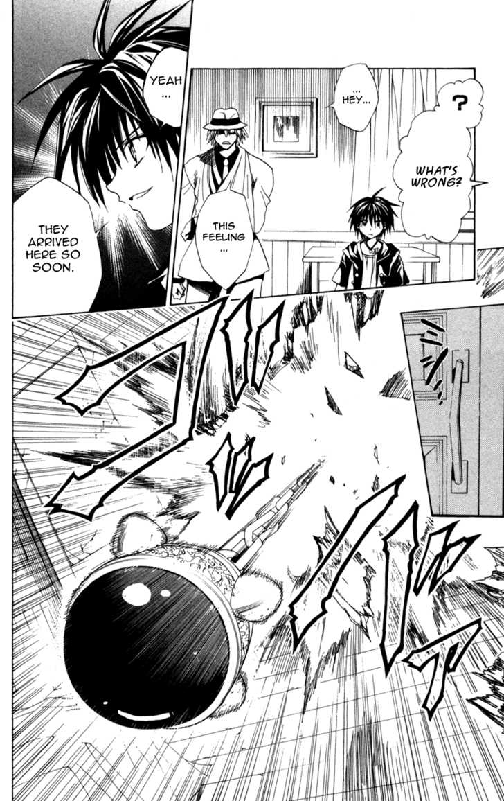Read Black Cat Manga Online