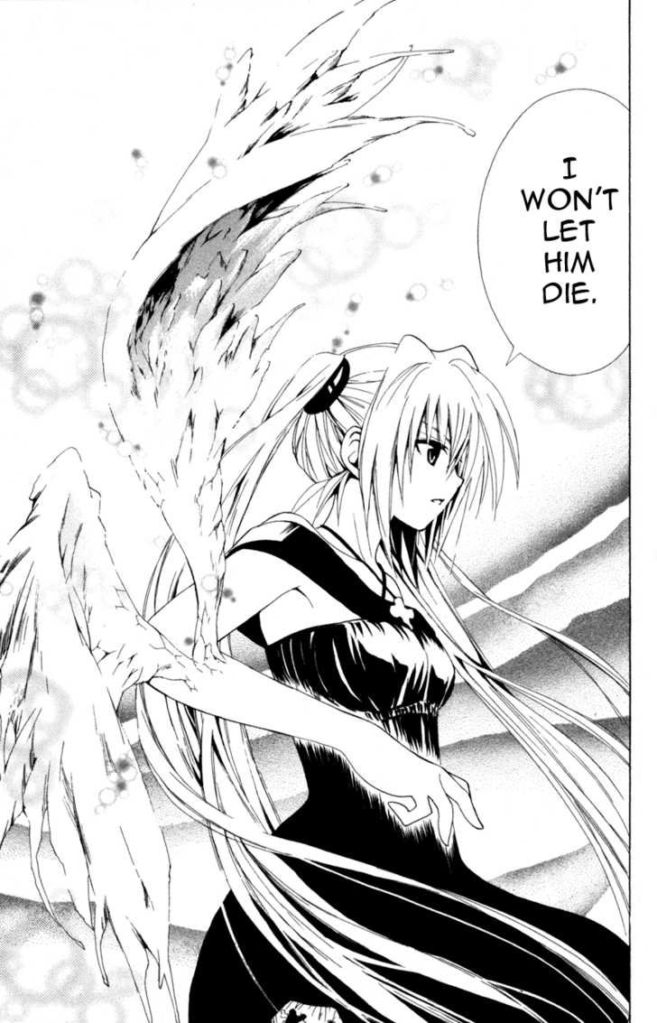 Read Black Cat Manga Online