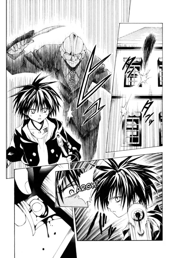 Read Black Cat Manga Online