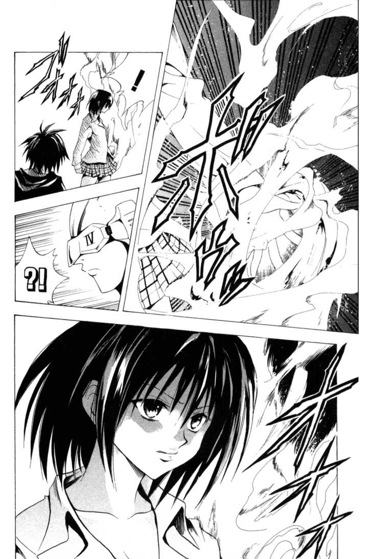 Read Black Cat Manga Online