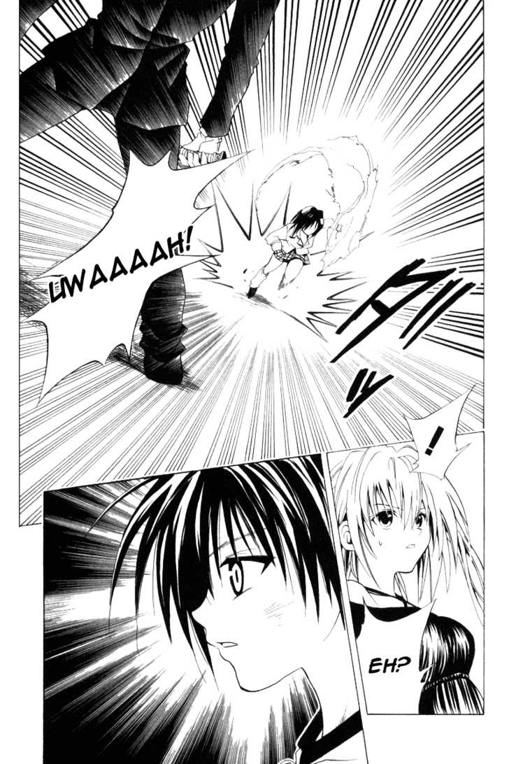 Read Black Cat Manga Online