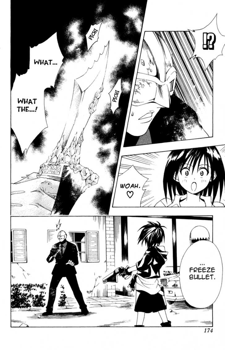 Read Black Cat Manga Online