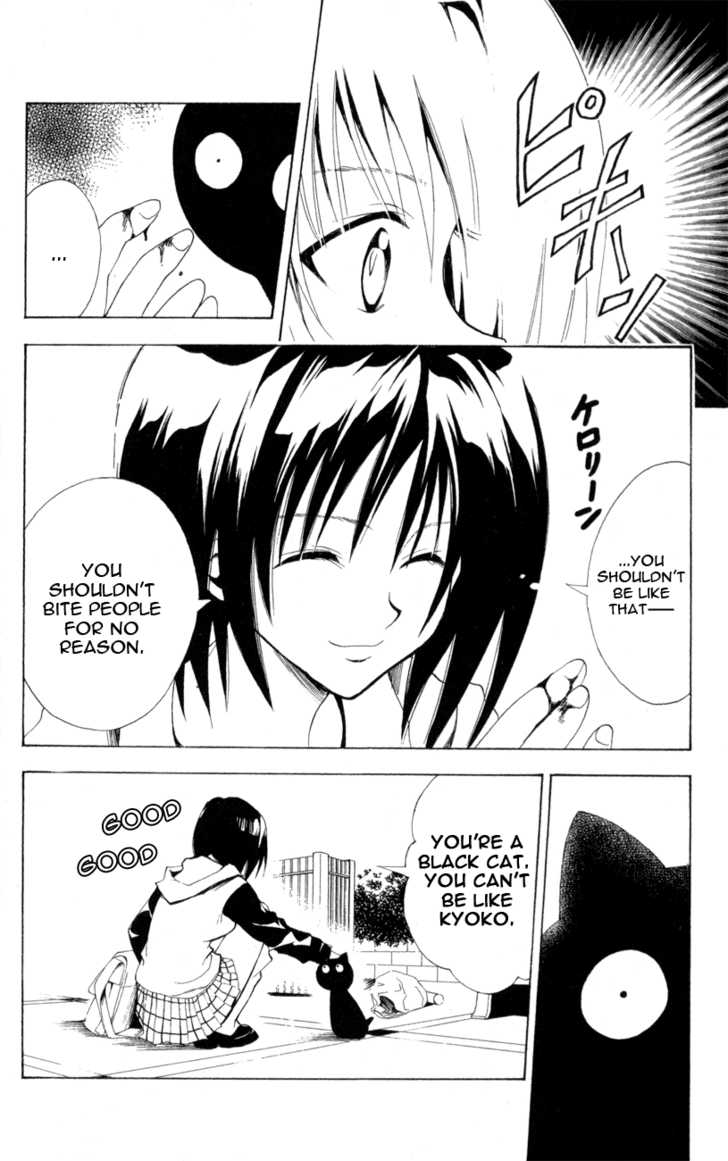 Read Black Cat Manga Online