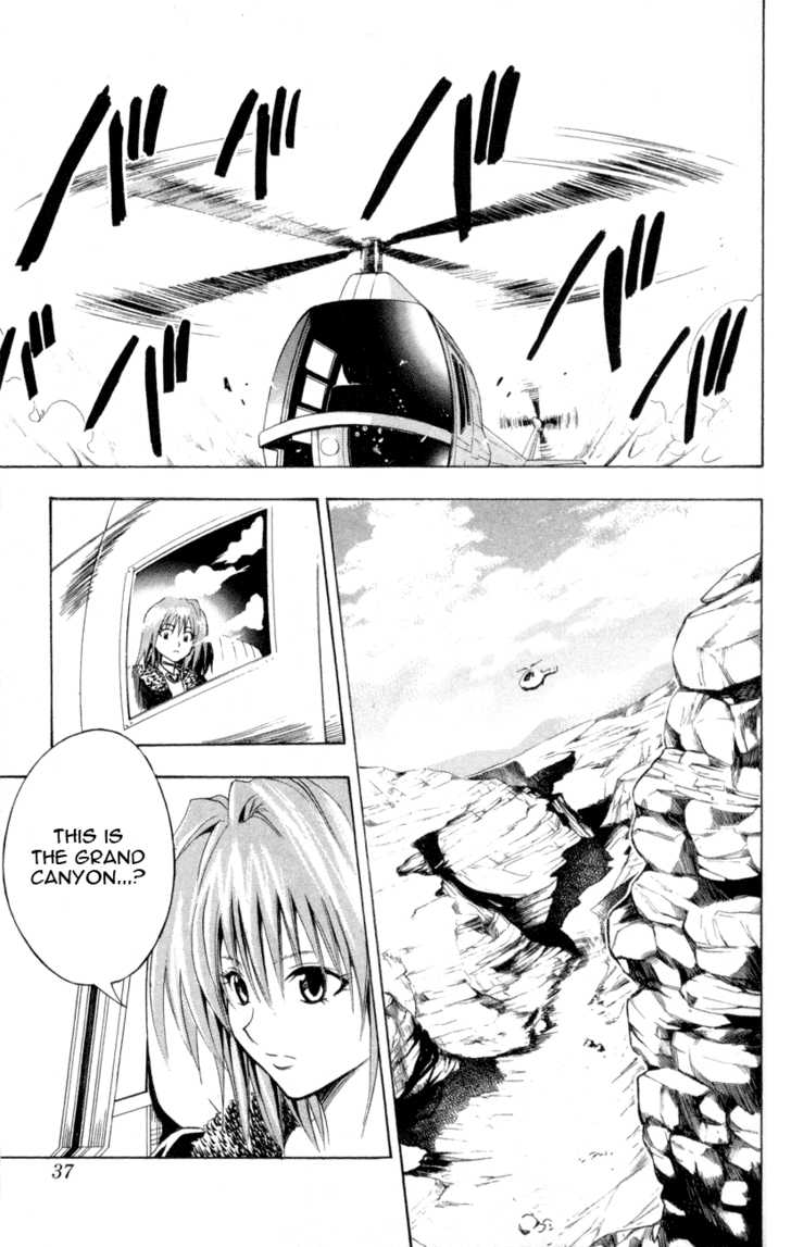 Read Black Cat Manga Online