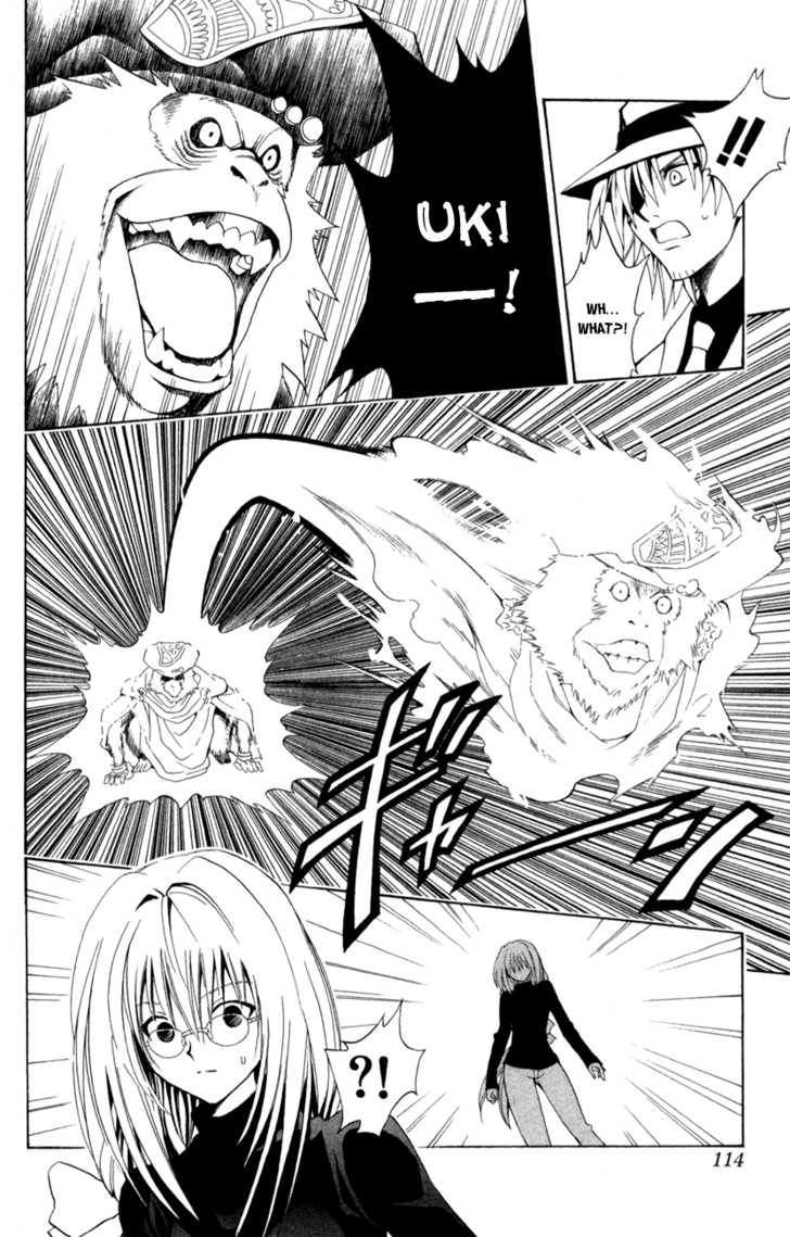 Read Black Cat Manga Online