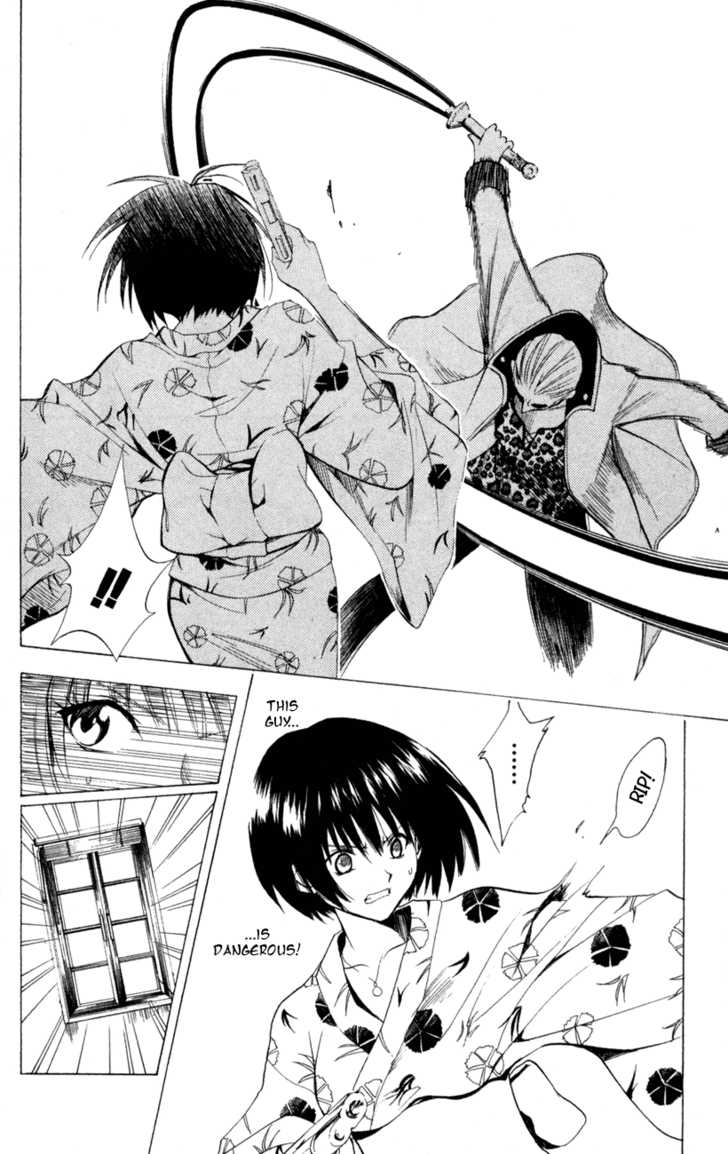 Read Black Cat Manga Online