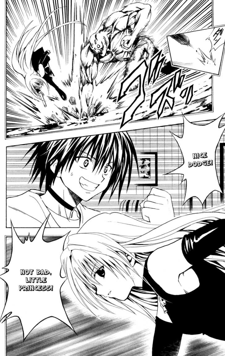 Read Black Cat Manga Online