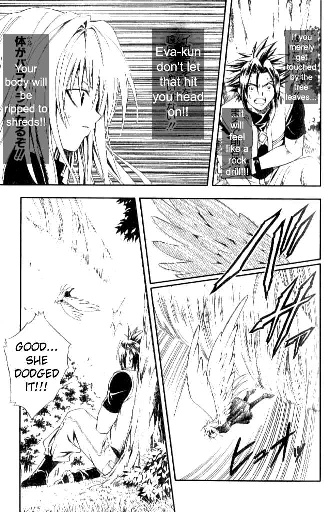 Read Black Cat Manga Online