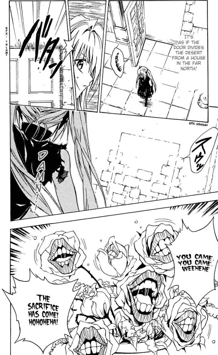 Read Black Cat Manga Online