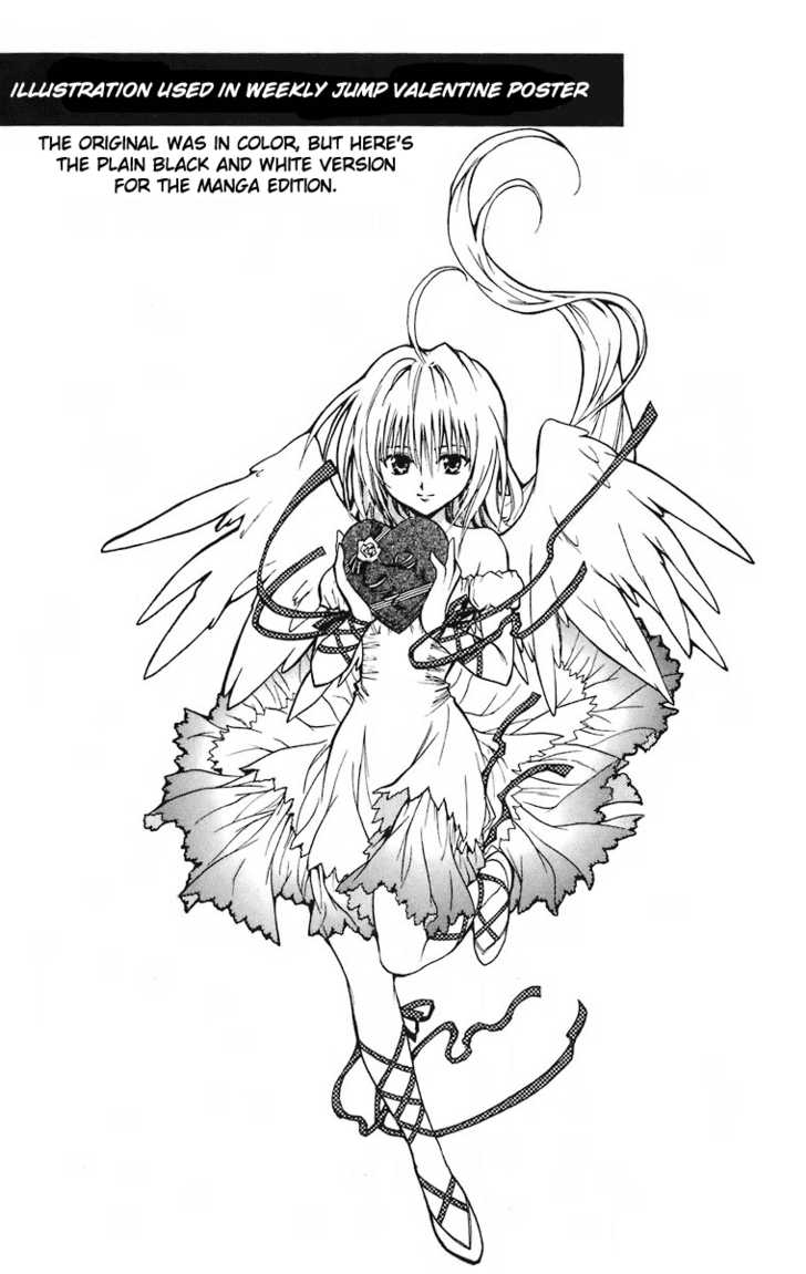 Read Black Cat Manga Online