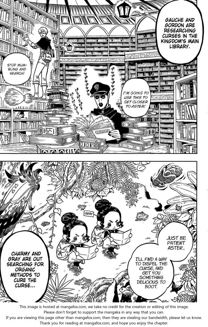 Read Black Clover Manga Online