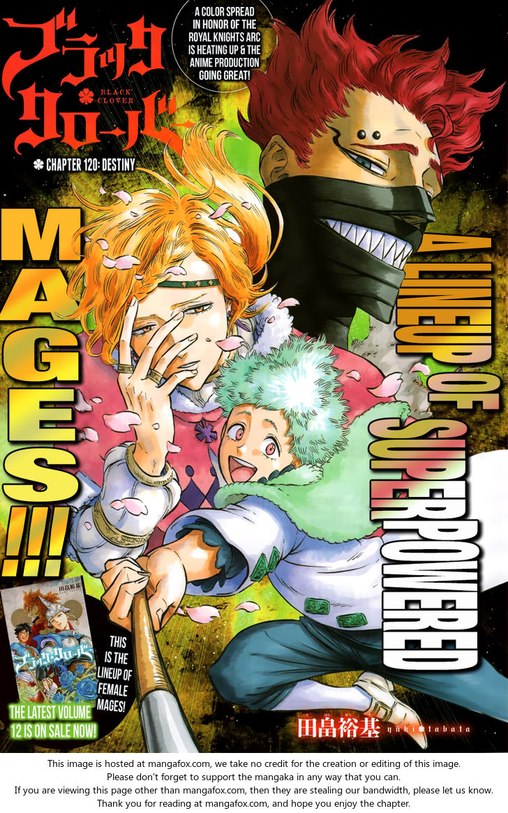 Read Black Clover Manga Online