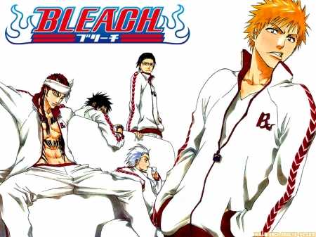 Read Bleach Manga Online