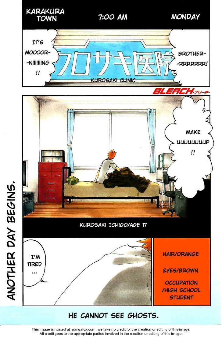 Read Bleach Manga Online