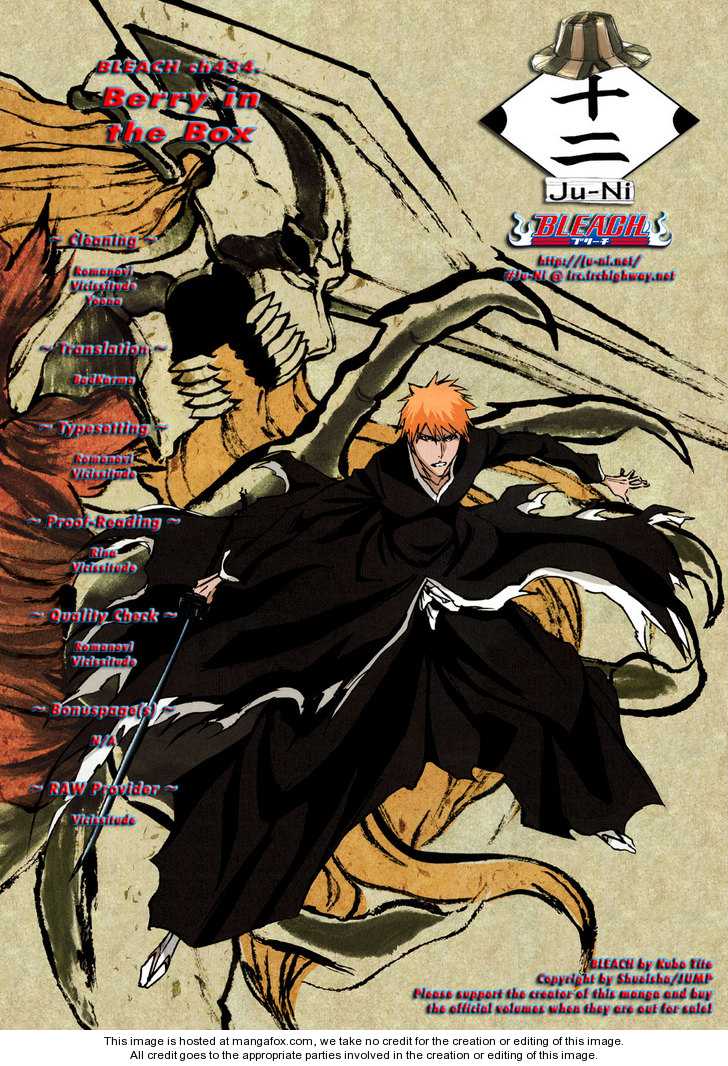 Read Bleach Manga Online