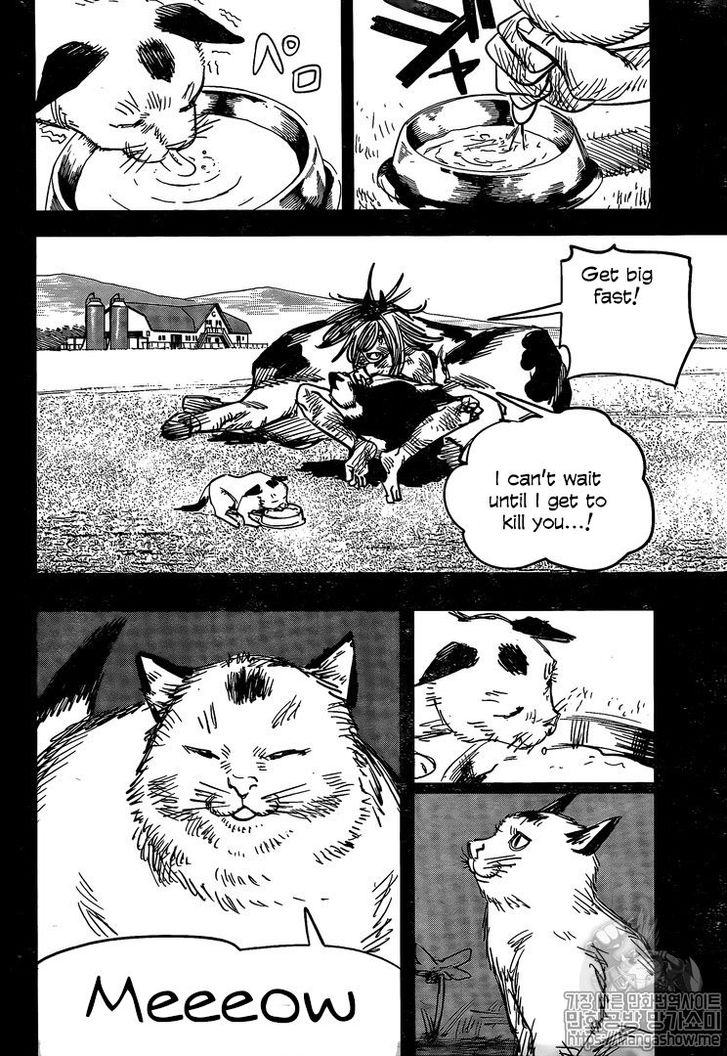 Read Chainsaw Man Manga Online