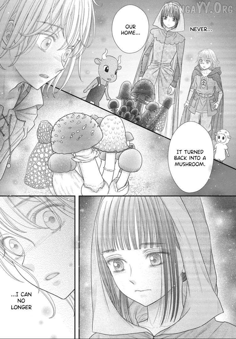 Read Champignon no Majo Manga Online