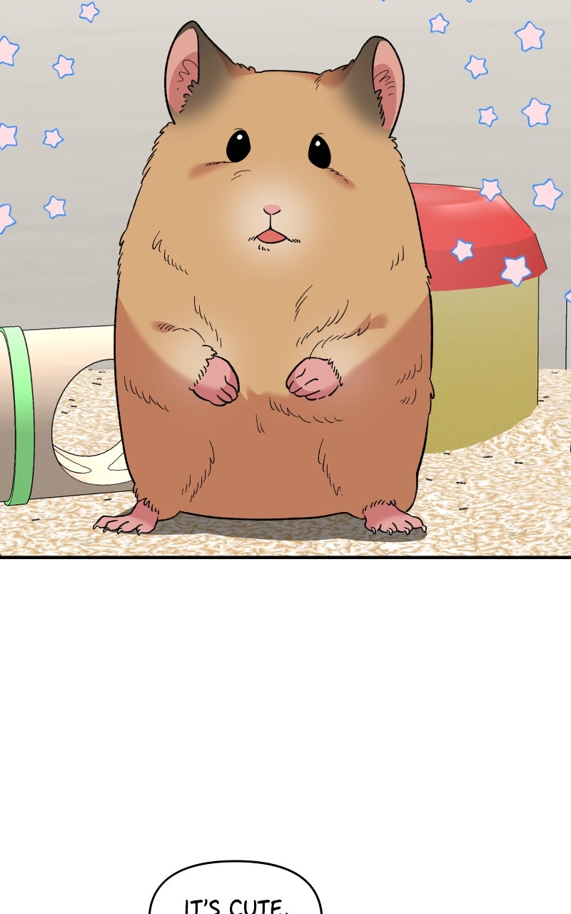 Read Childhood Friend Complex Manga Online