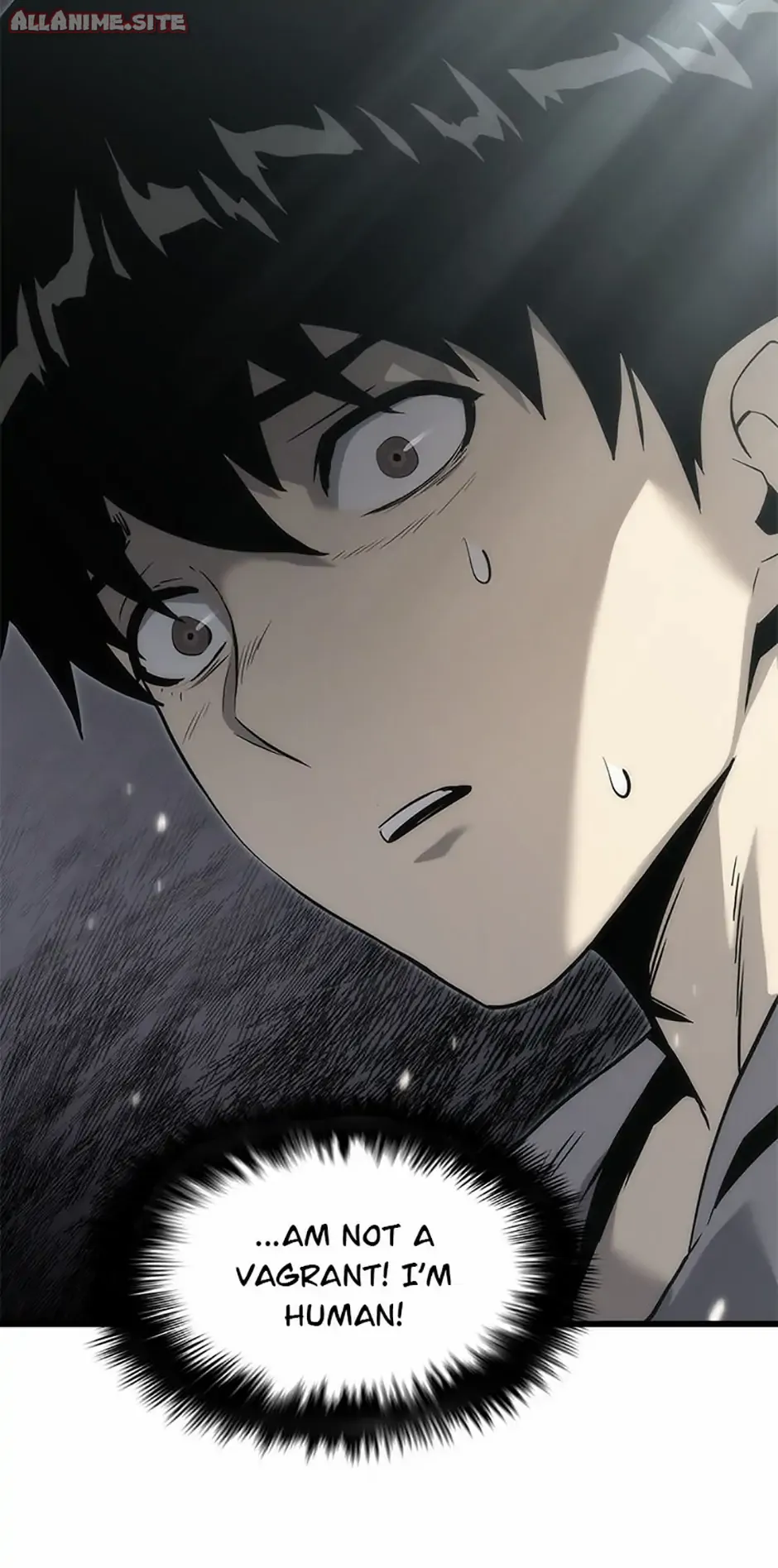 Read Down Came the Tiger Manga Online