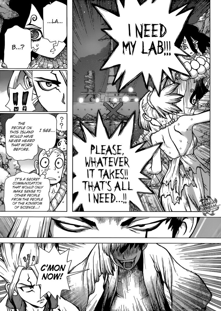 Read Dr. Stone Manga Online