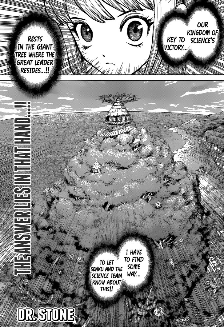 Read Dr. Stone Manga Online