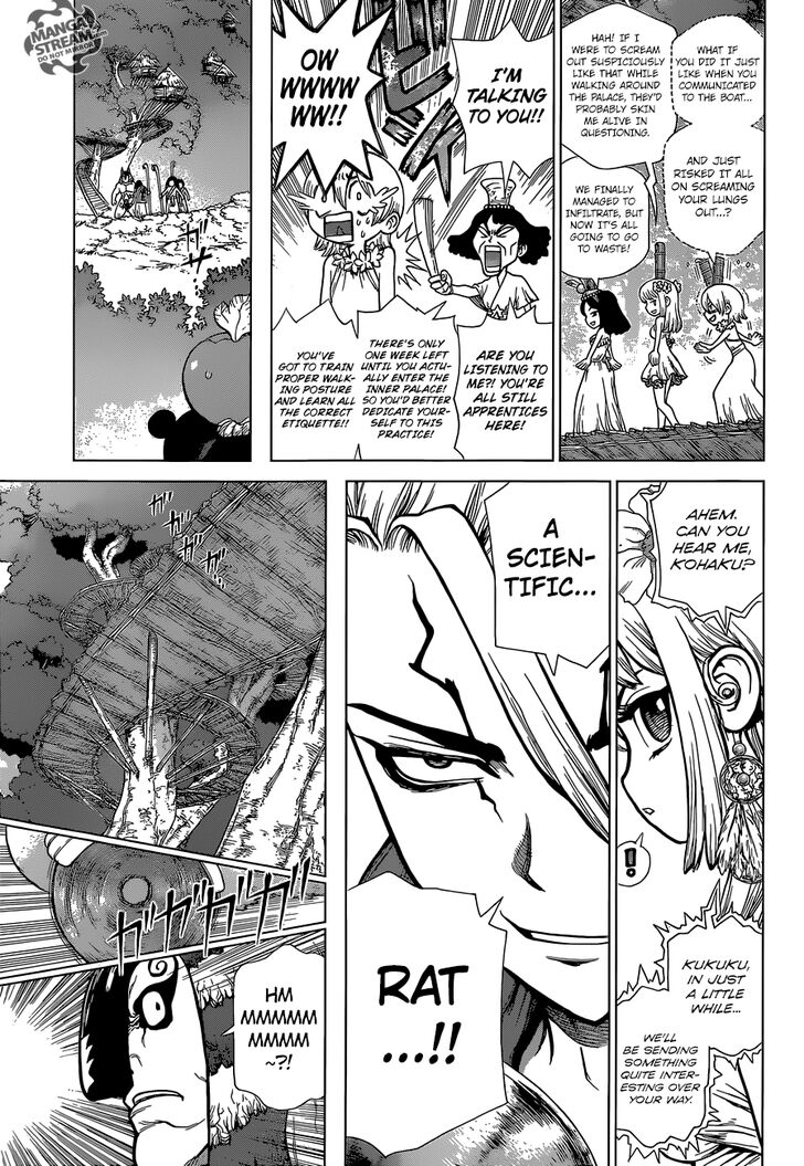 Read Dr. Stone Manga Online