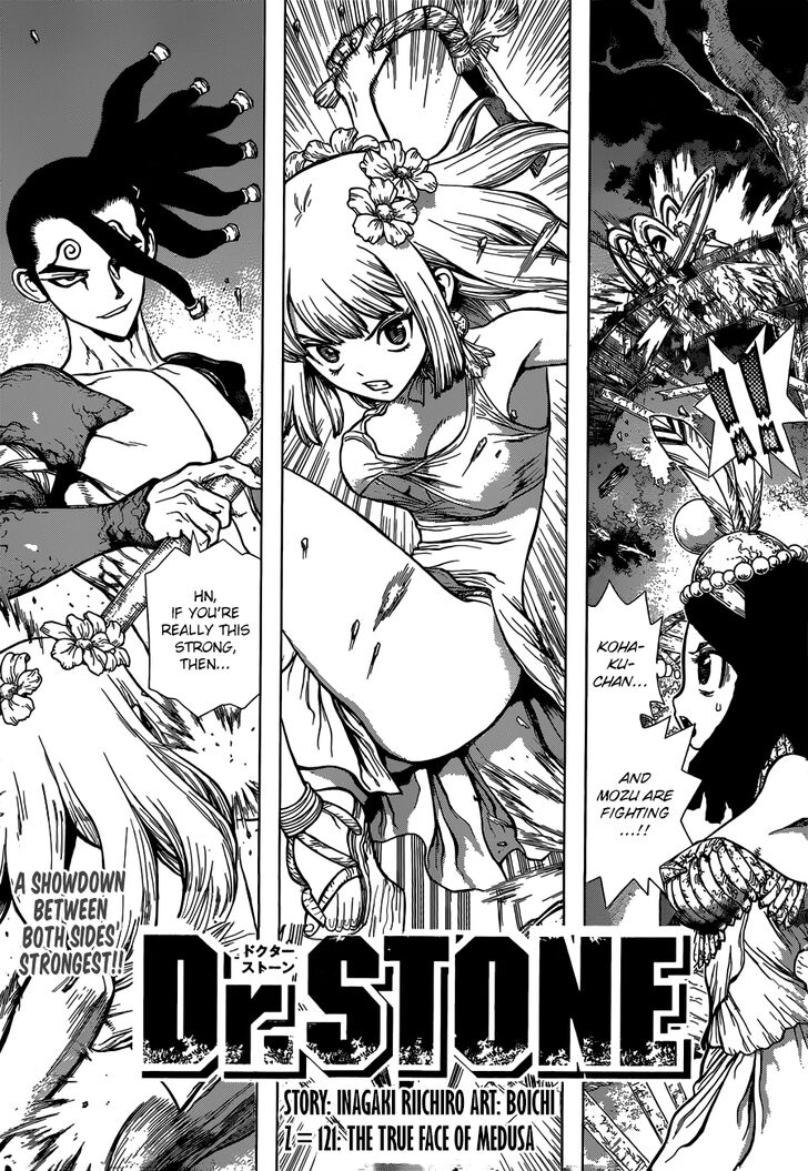 Read Dr. Stone Manga Online
