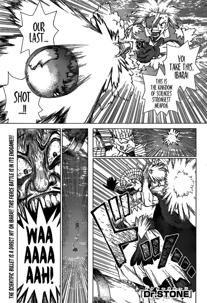 Read Dr. Stone Manga Online