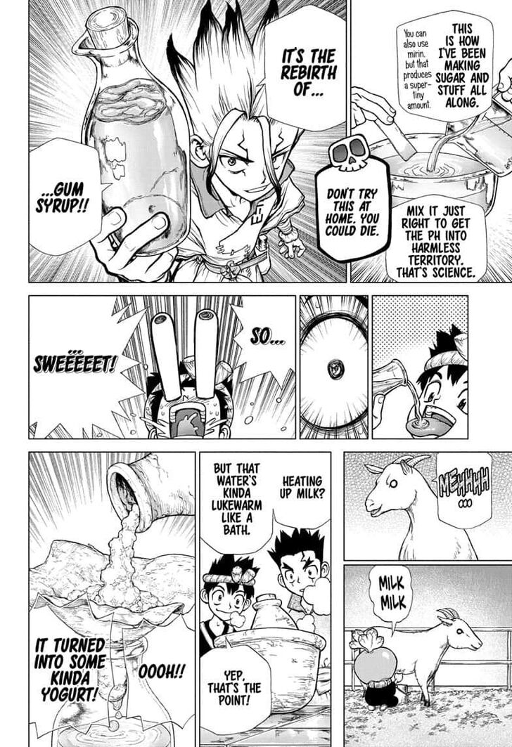 Read Dr. Stone Manga Online