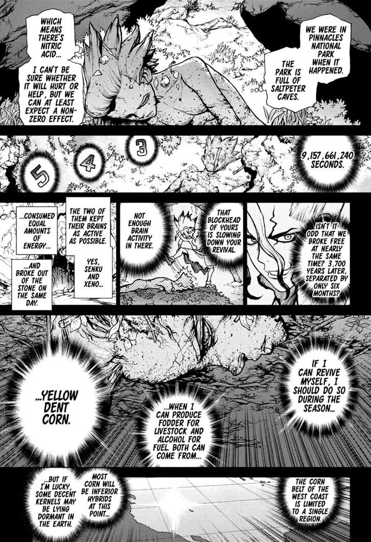 Read Dr. Stone Manga Online