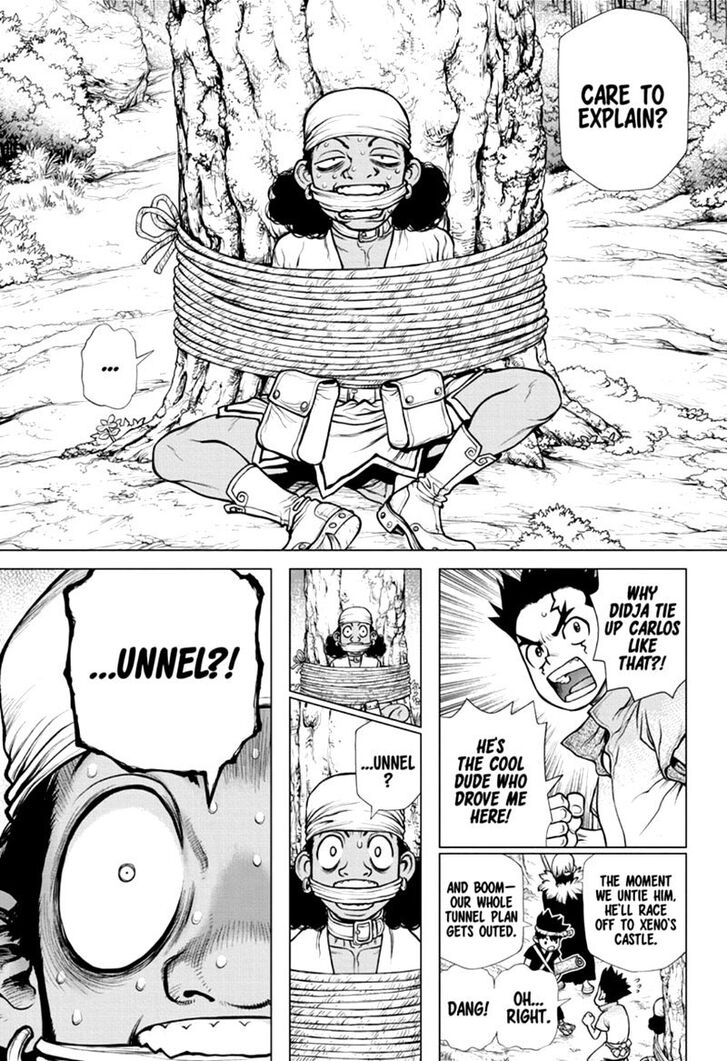 Read Dr. Stone Manga Online