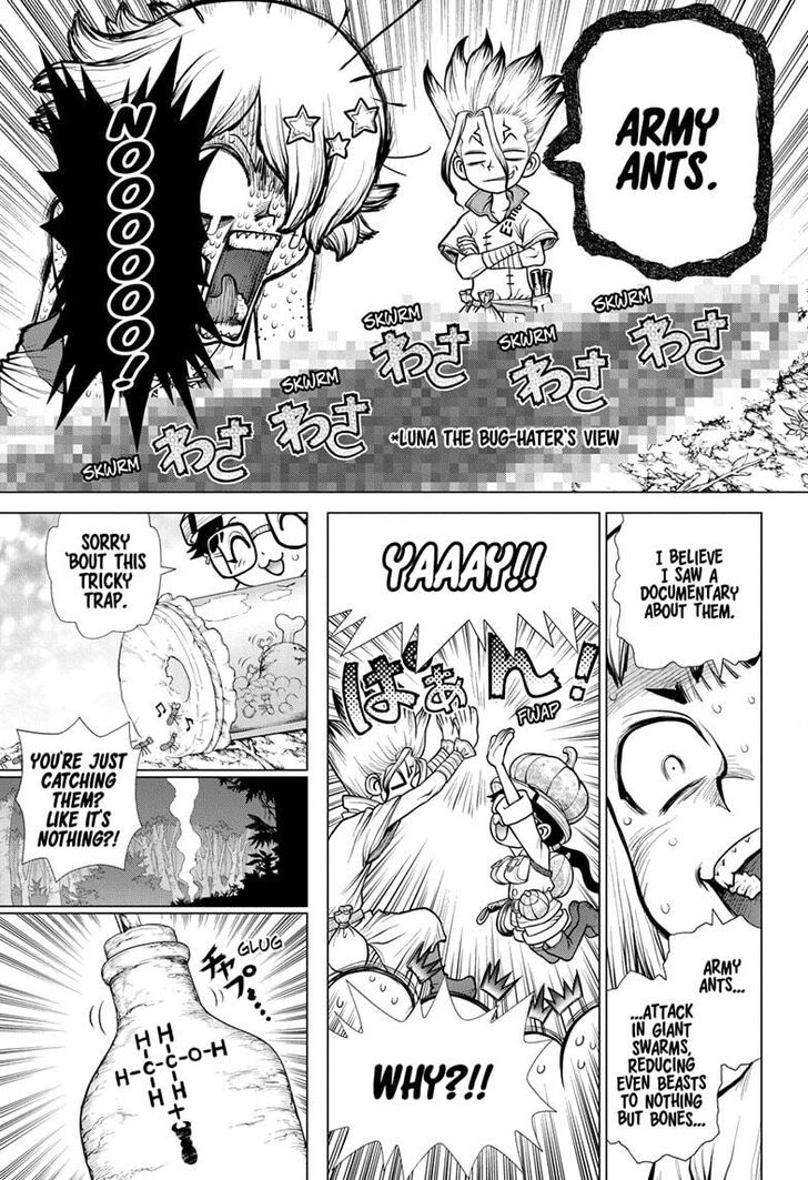Read Dr. Stone Manga Online