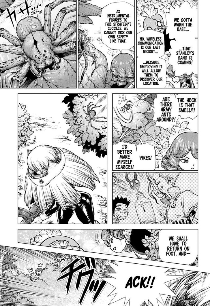 Read Dr. Stone Manga Online