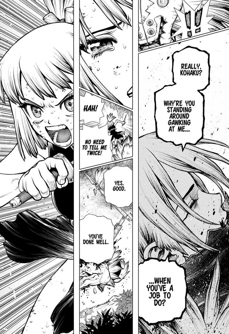 Read Dr. Stone Manga Online